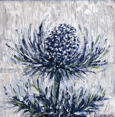 Sea Holly