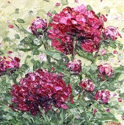 Peonies