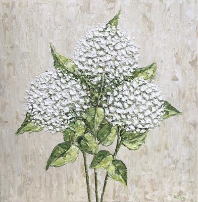 White Hydrangeas