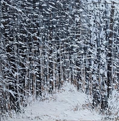 Blanket of Snow