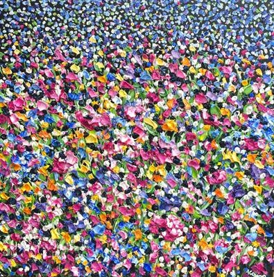 Rainbow Flower Field