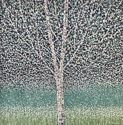 Single Silver Birch