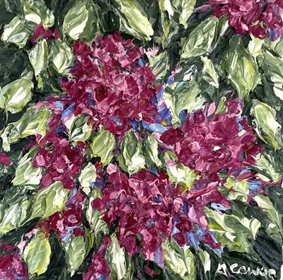 Cerise Hydrangeas