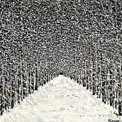 Follow the Snowy Path