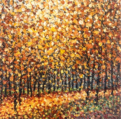 Sunlit pathway