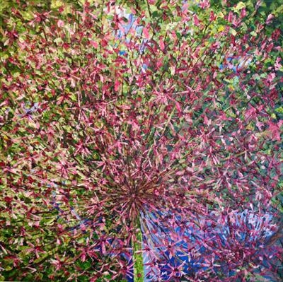 Allium Burst 2. by Alison Cowan, Painting, Acrylic on canvas