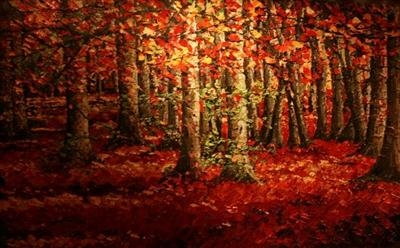Woodland Blaze by Alison Cowan, Painting, Acrylic on canvas